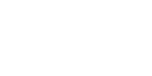 넥스트 넷 logo